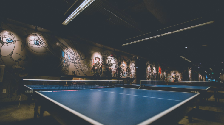 Table Tennis in Germany Is a Serious Sport With Serious Money